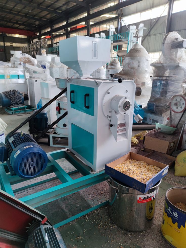 Rice grain